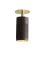 Browned Brass