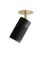 Black-browned Brass