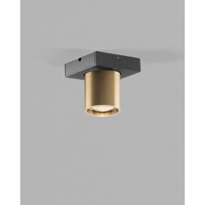 Focus 1 Switch Tune Loftspot, Messing