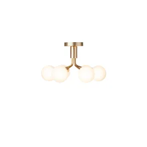 Apiales 6 Loftlampe - Nuura